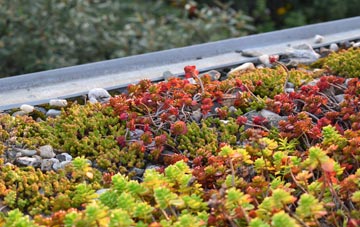 the cost of Ridgmont green roof installation