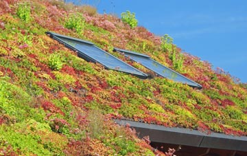 Ridgmont living roof systems